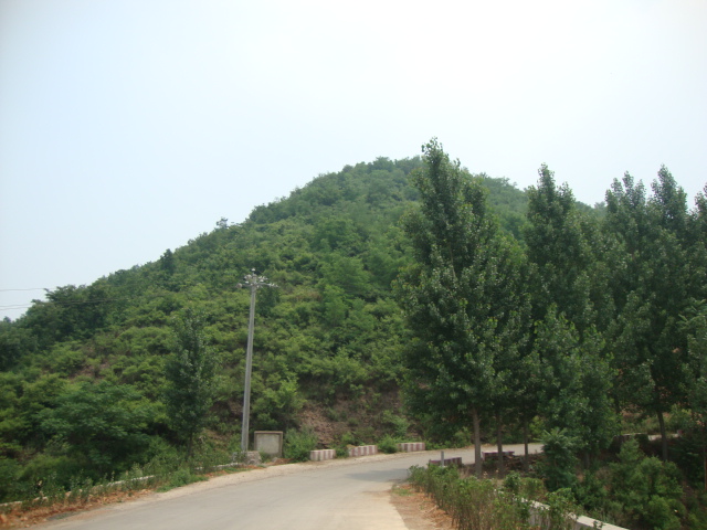 DSC01988.JPG