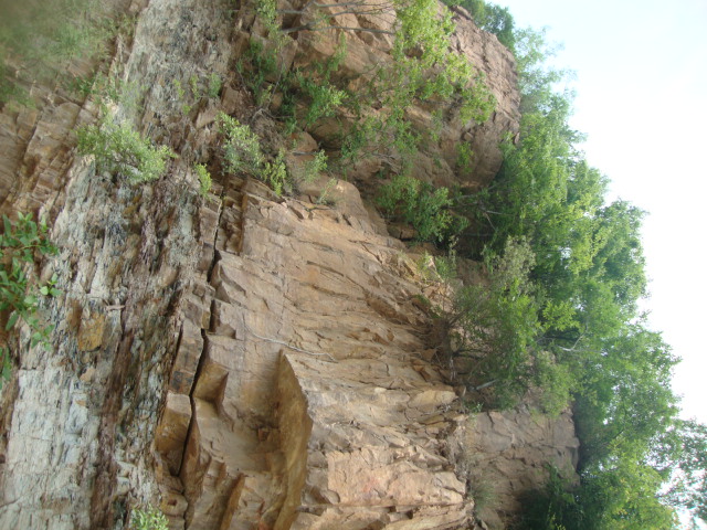 DSC01996.JPG