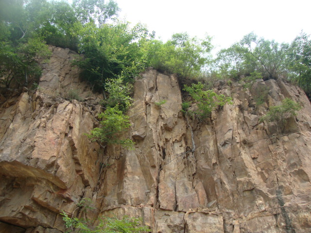 DSC01997.JPG