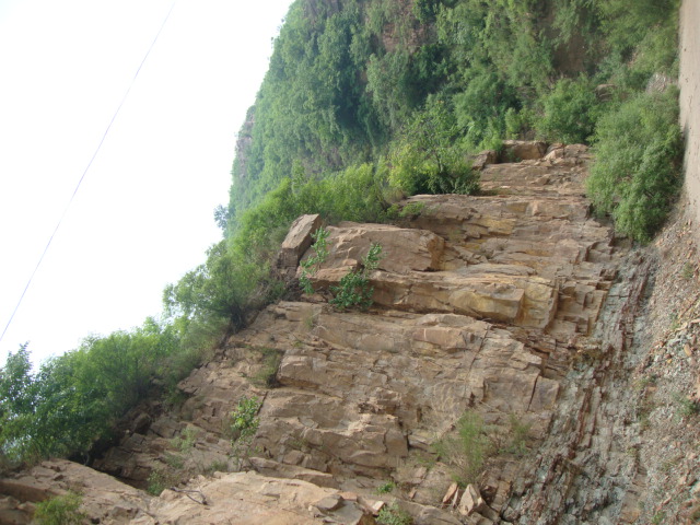 DSC01998.JPG