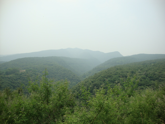 DSC02003.JPG