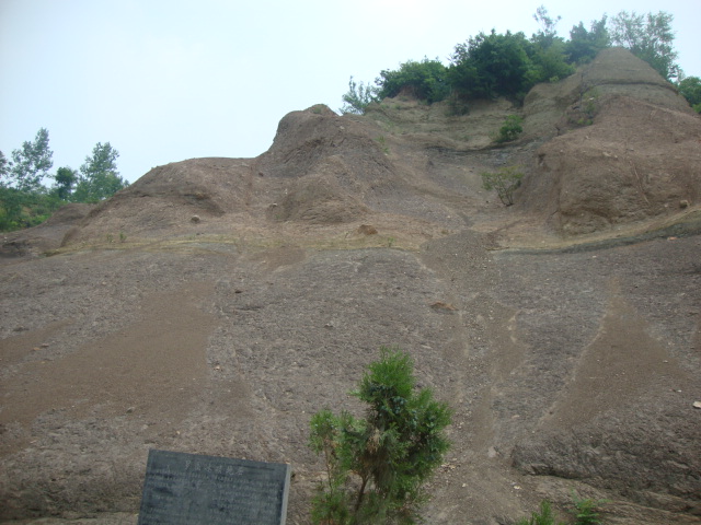 DSC02009.JPG