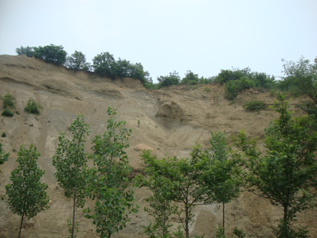 DSC02011.JPG