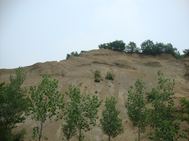 DSC02012.JPG