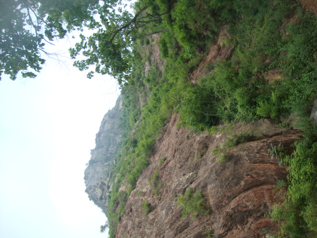 DSC02013.JPG