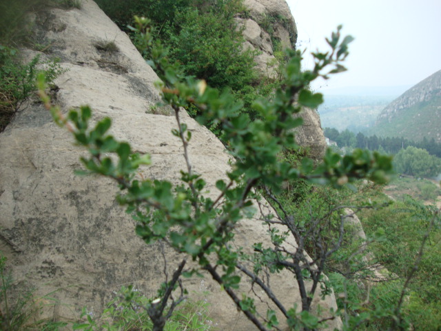 DSC02017.JPG
