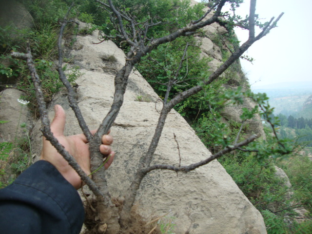 DSC02018.JPG