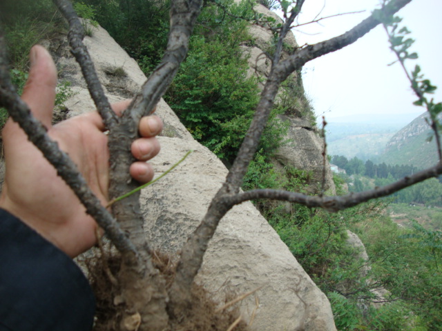 DSC02019.JPG