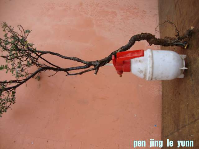 DSC02058.JPG