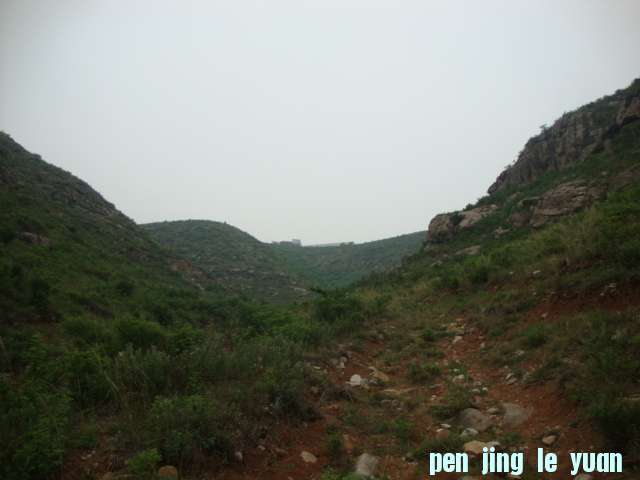 DSC02044.JPG