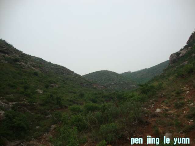DSC02042.JPG