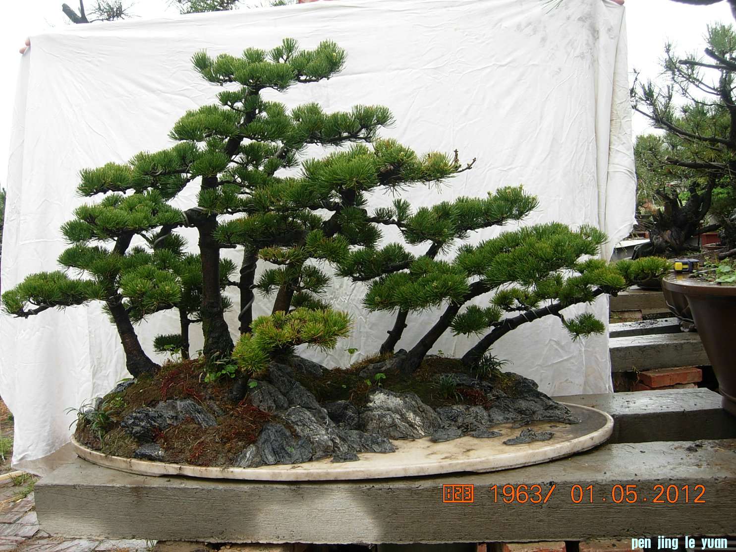 DSCN6003.JPG