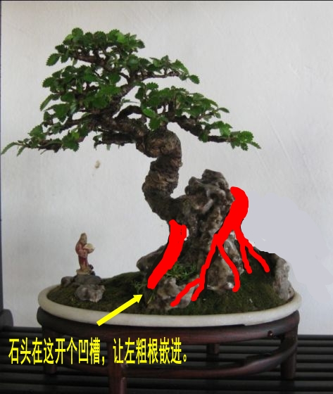 113_jpg_thumb_conew1.jpg