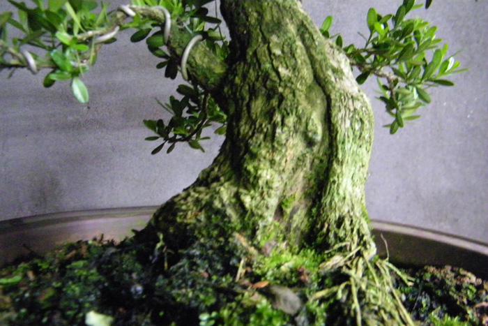 100_1799.jpg