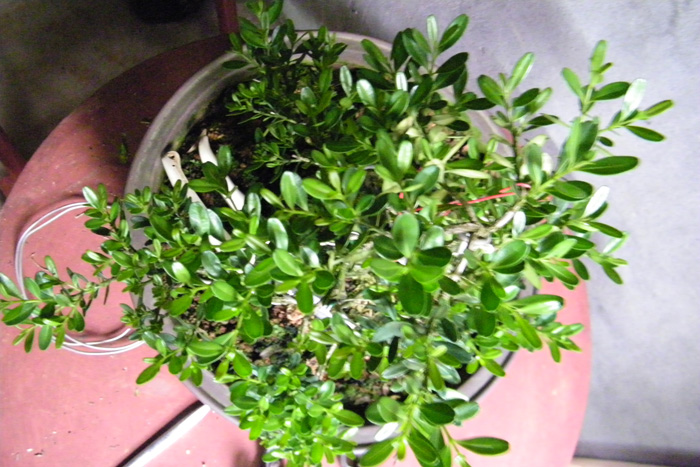 100_1801.jpg