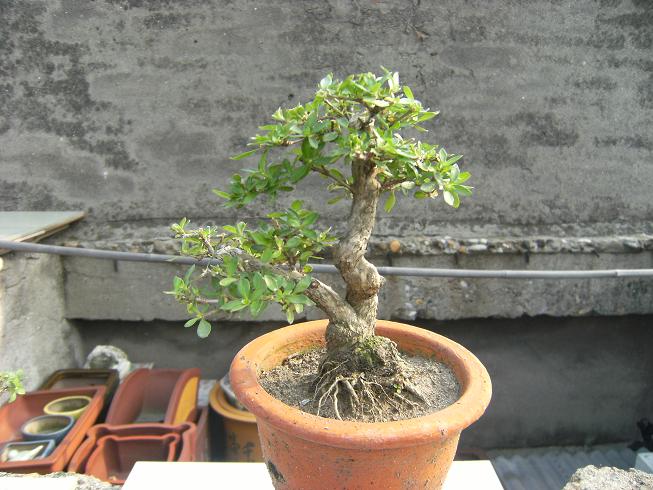 DSCF6521.JPG