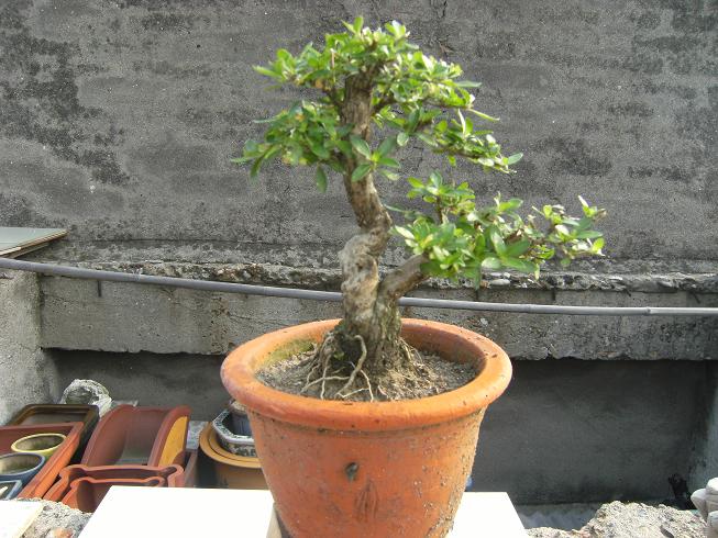 DSCF6518.JPG