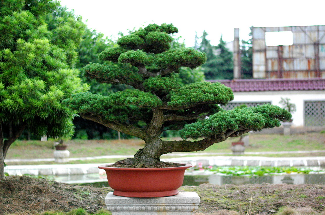 DSC_4346__С.jpg