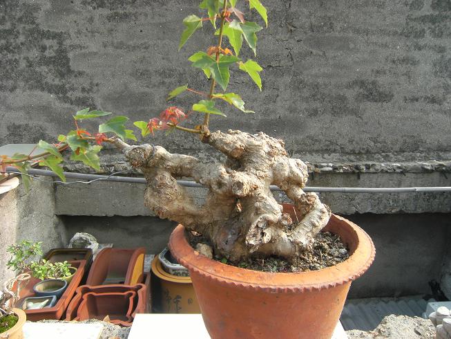 DSCF6508.JPG