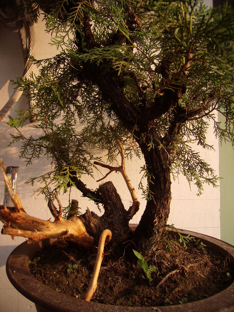 P6070068.JPG
