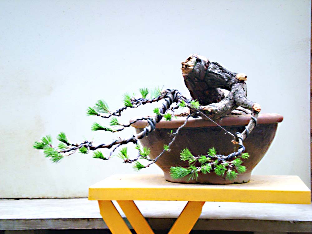 DSCN3972.JPG