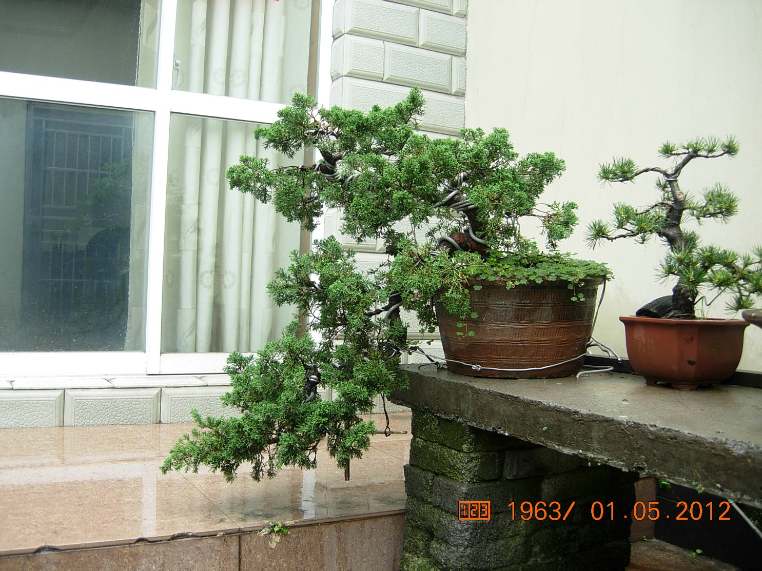 DSCN6026.JPG