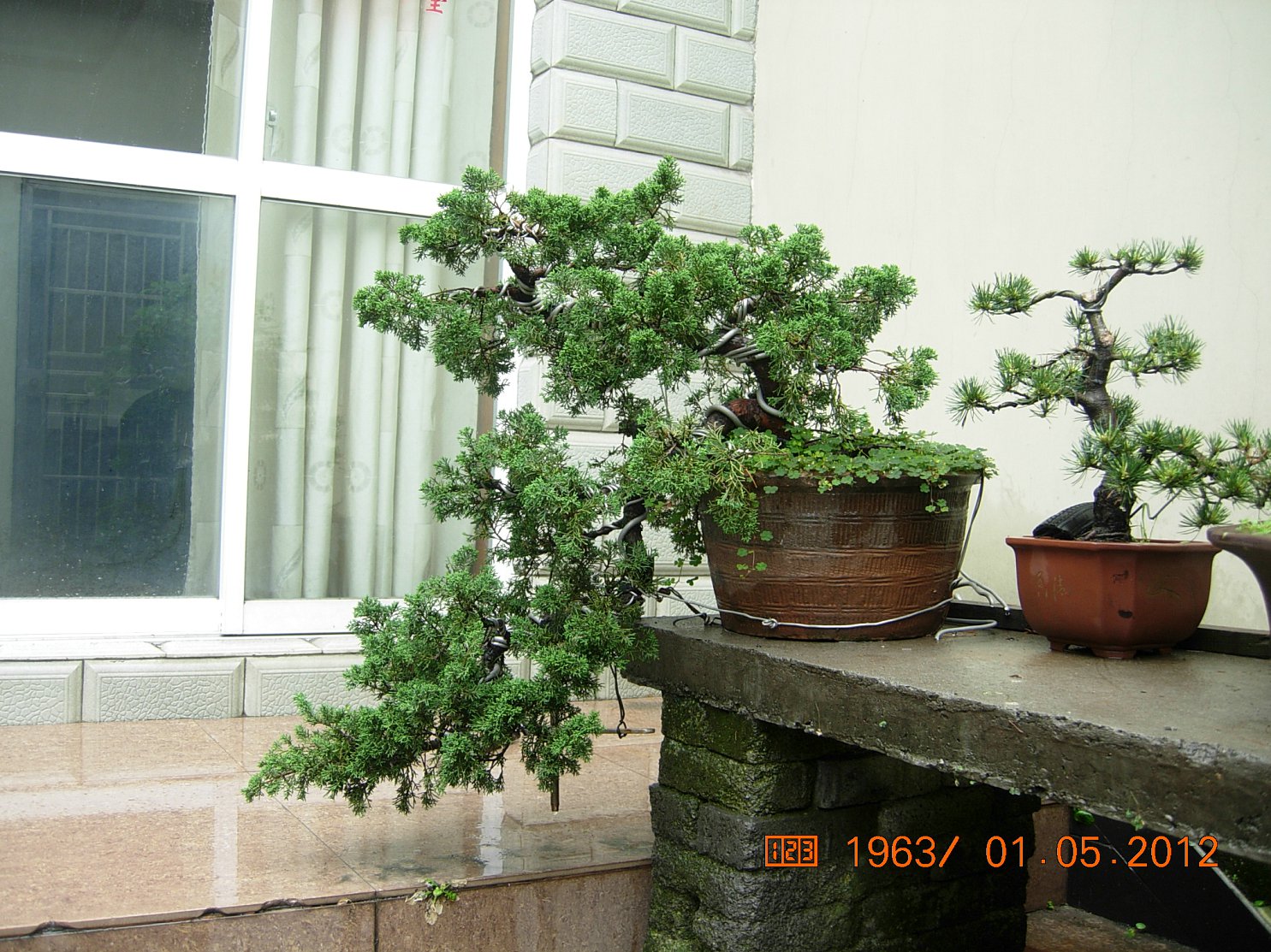 DSCN6027.JPG