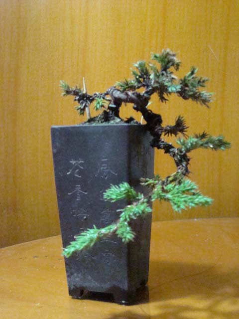DSC00444.JPG