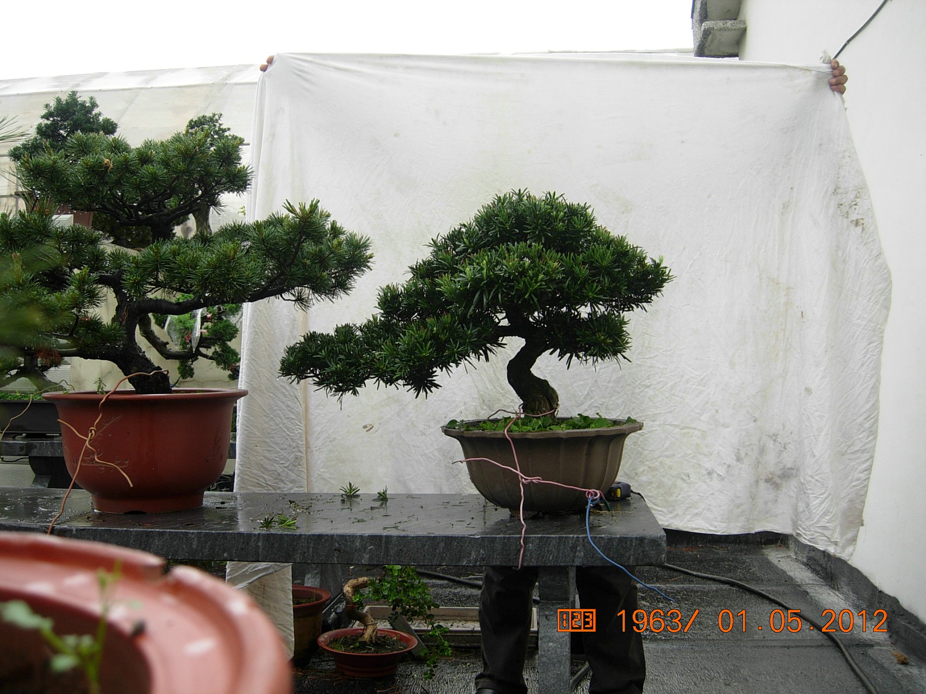 DSCN6064.JPG