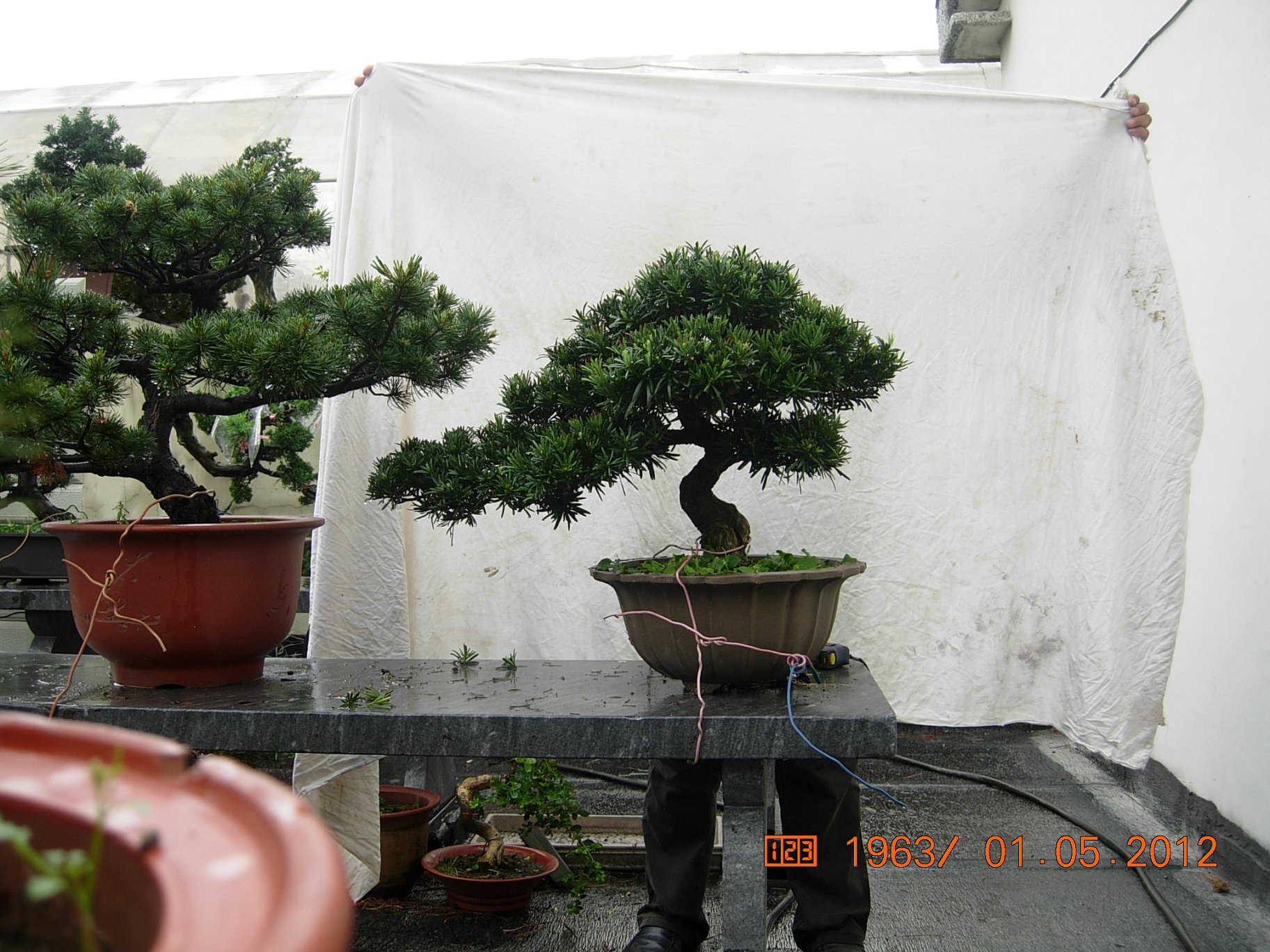DSCN6065.JPG
