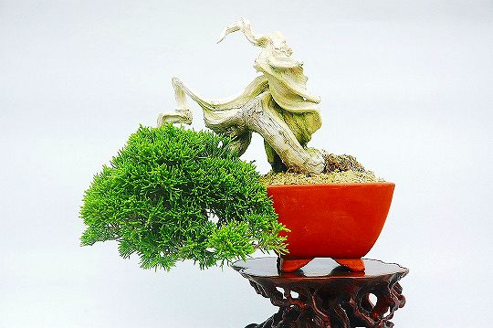 1 (19).jpg