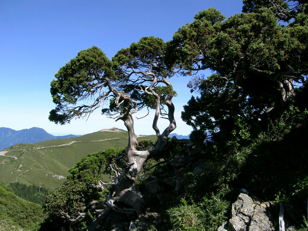DSCN7313.JPG