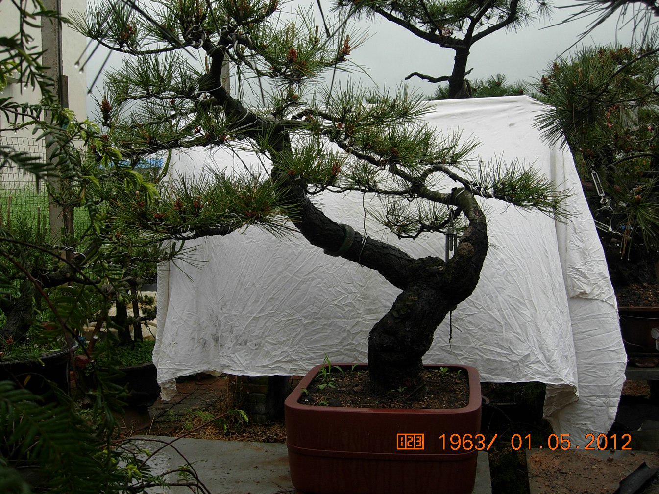 DSCN6018.JPG