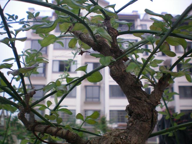 100_0211.JPG