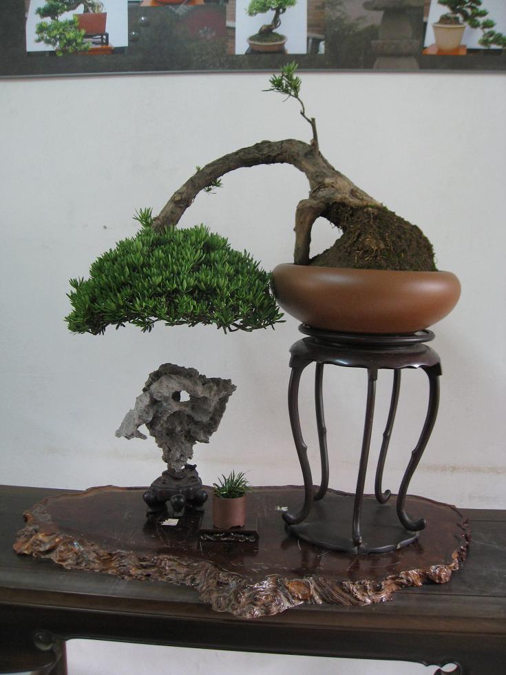 Ƭ 15149.jpg