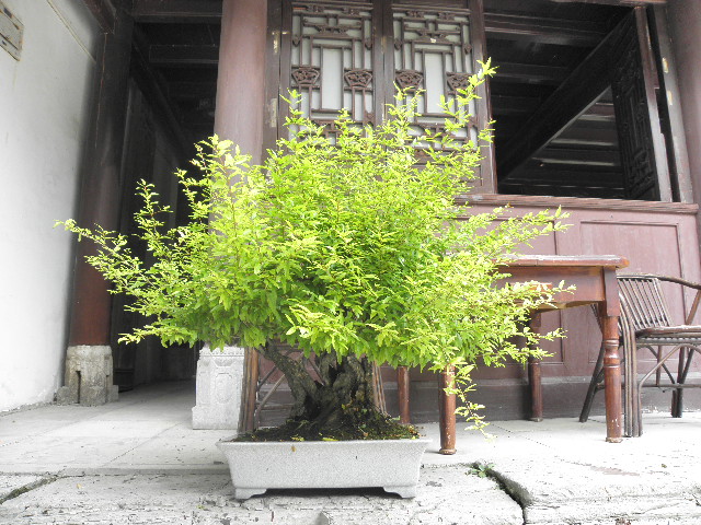 P6181841.JPG