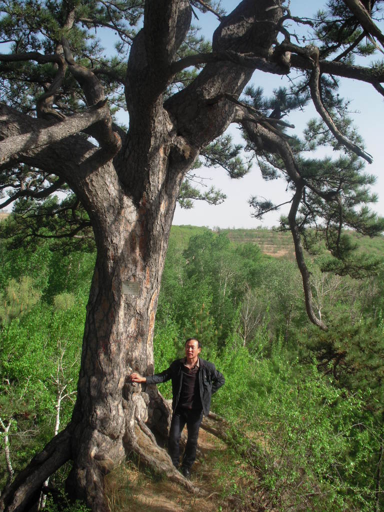 DSCN2375.JPG