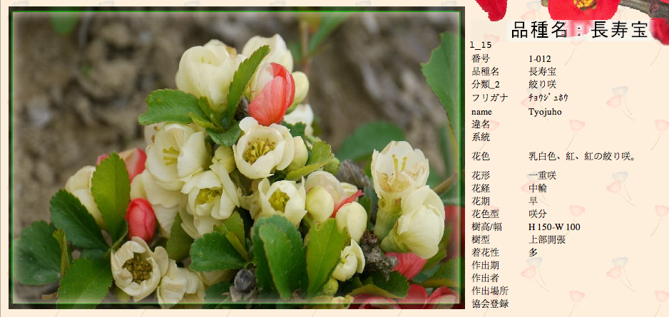 QQ20120619-4.png
