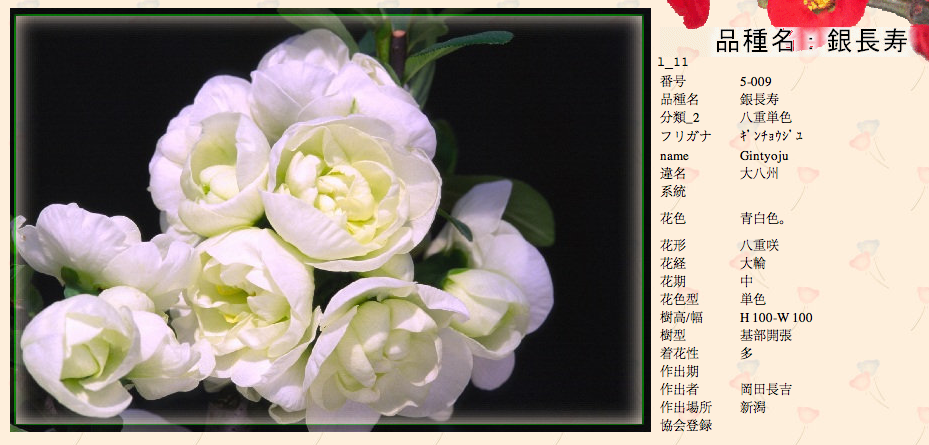 QQ20120619-5.png