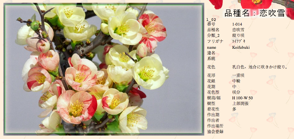 QQ20120619-6.png
