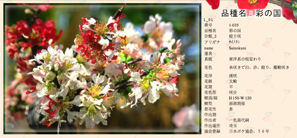 QQ20120619-7.png