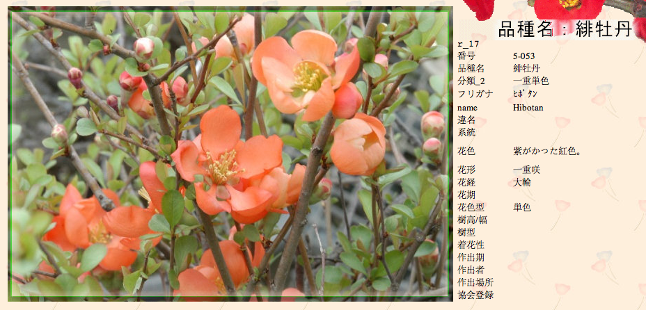 QQ20120619-8.png