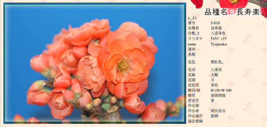 QQ20120619-9.png