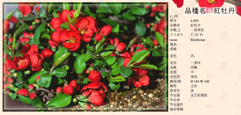 QQ20120619-10.png