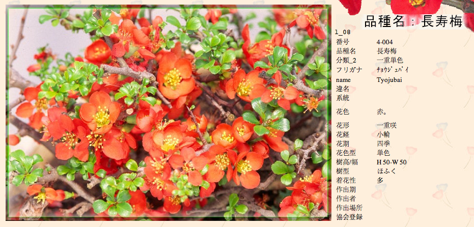 QQ20120619-11.png