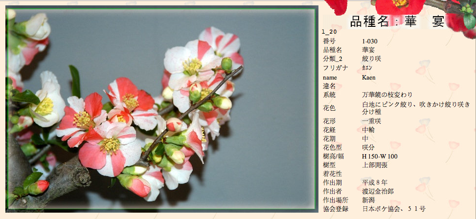 QQ20120619-13.png