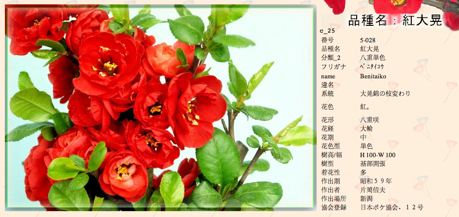 QQ20120619-14.png
