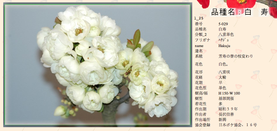 QQ20120619-15.png
