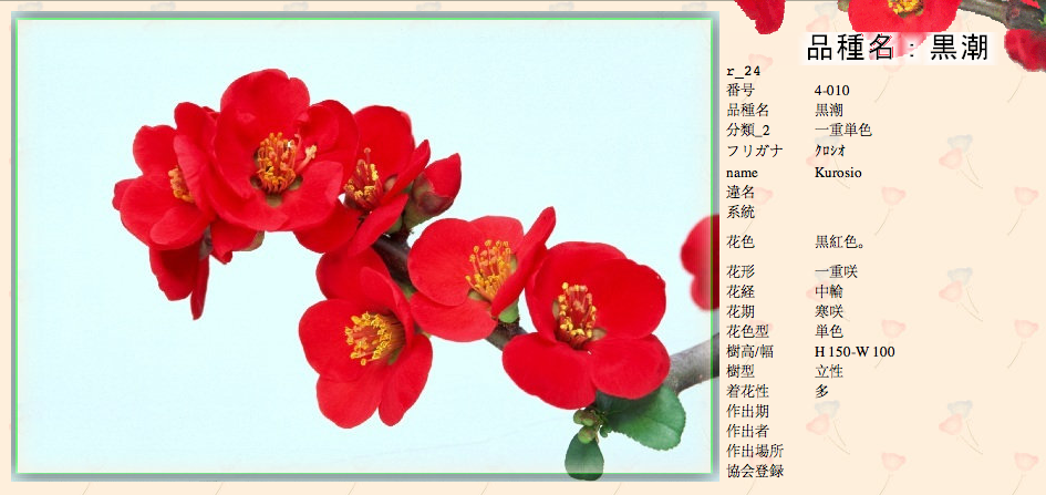 QQ20120619-16.png