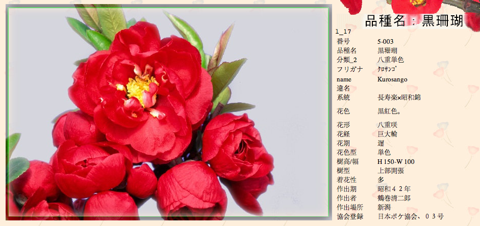 QQ20120619-17.png